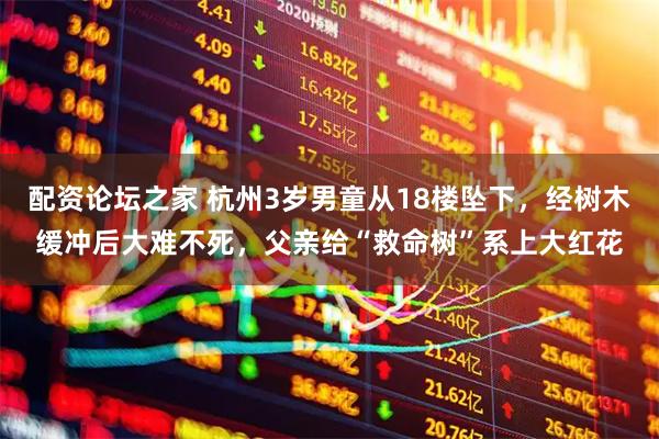 配资论坛之家 杭州3岁男童从18楼坠下，经树木缓冲后大难不死，父亲给“救命树”系上大红花